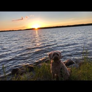 Meet your Posher, Christy